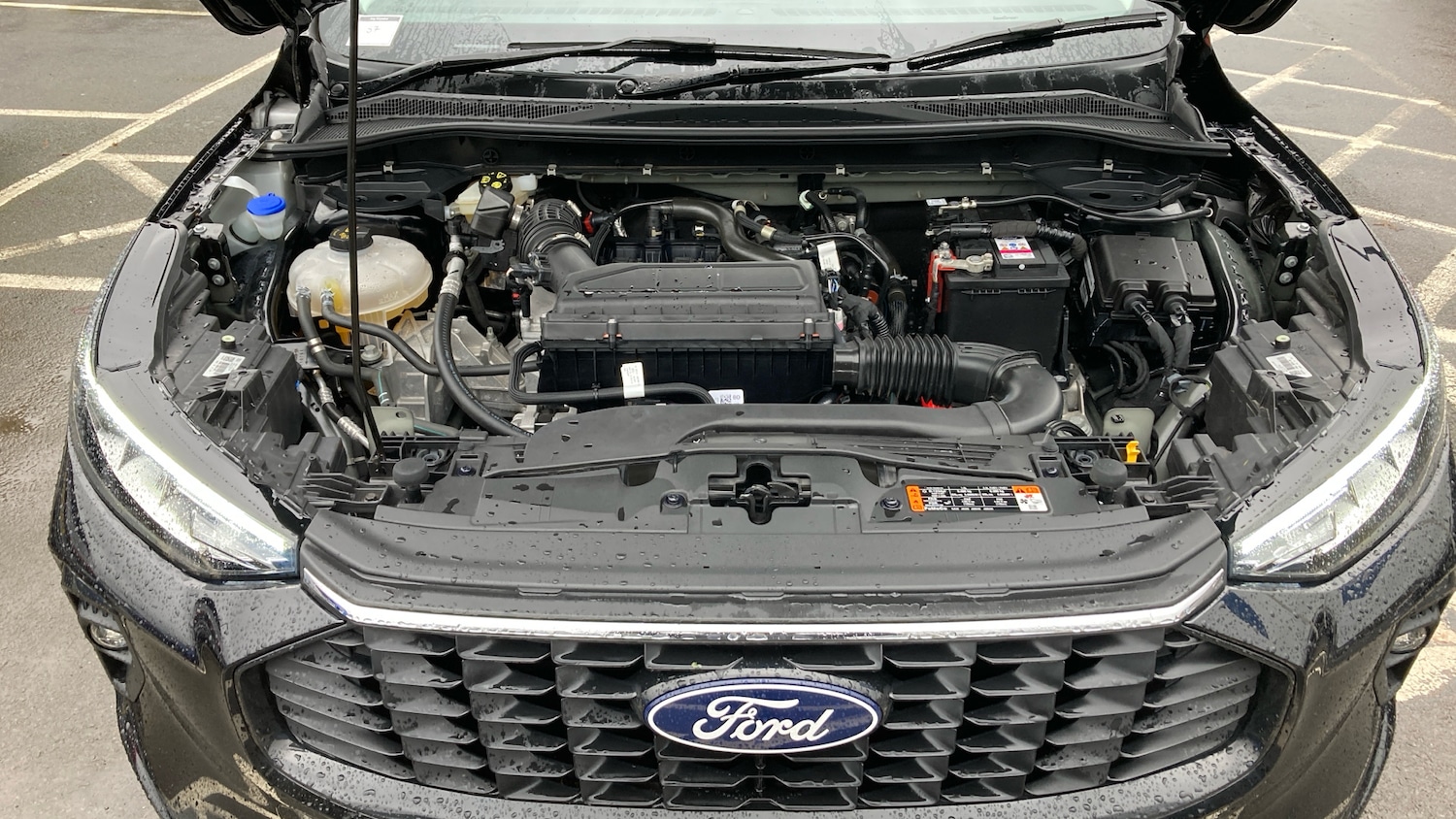 Used Ford Kuga 2025 for sale - 77541873: Photo 8