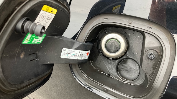 Used Ford Focus 2019 for sale - 76299265: Photo 43