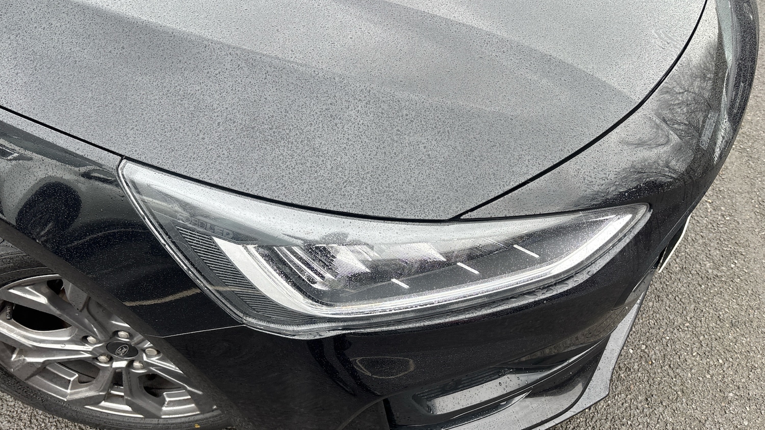 Used Ford Focus 2022 for sale - 77445607: Photo 22