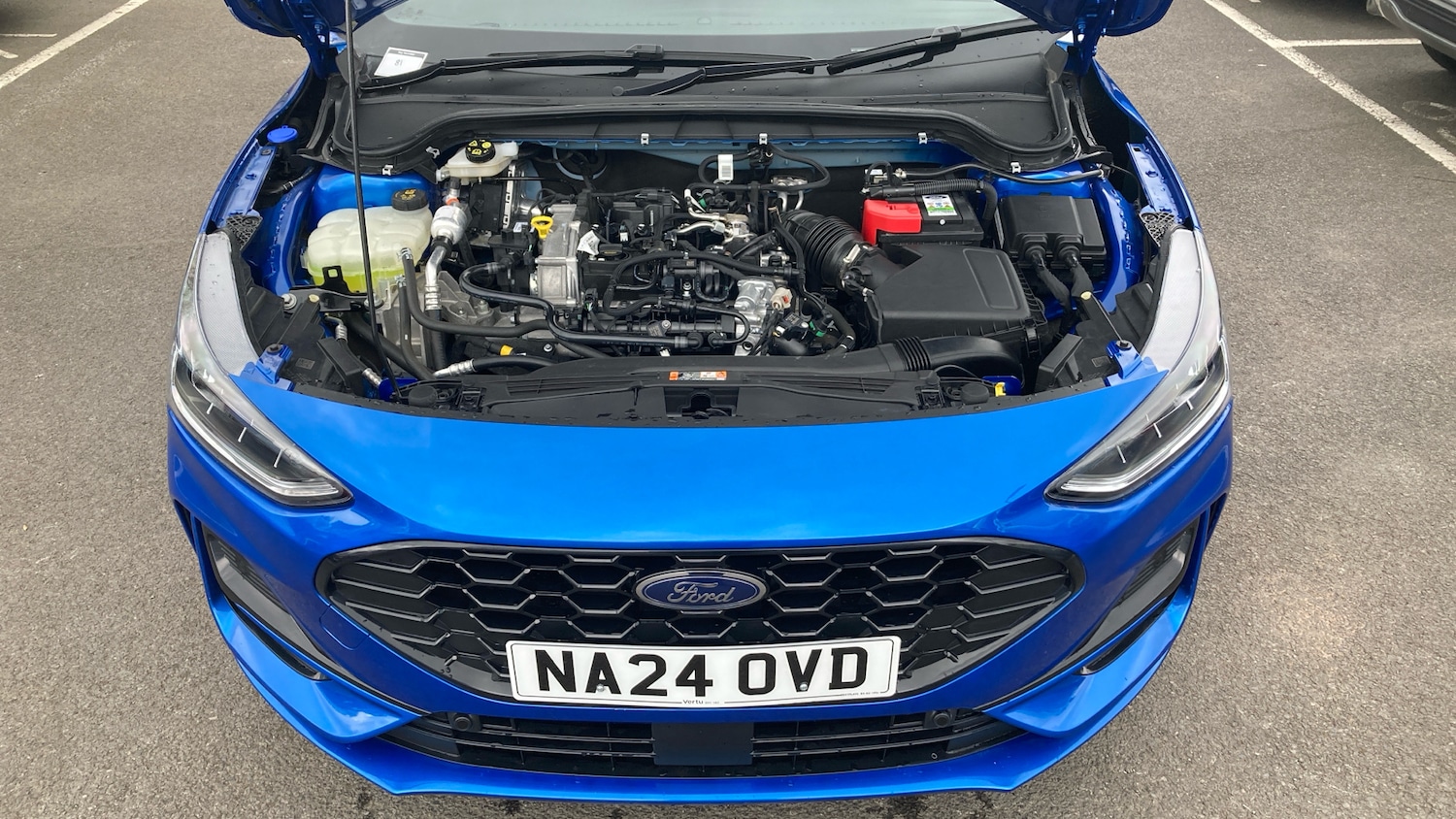 Used Ford Focus 2024 for sale - 78077520: Photo 8