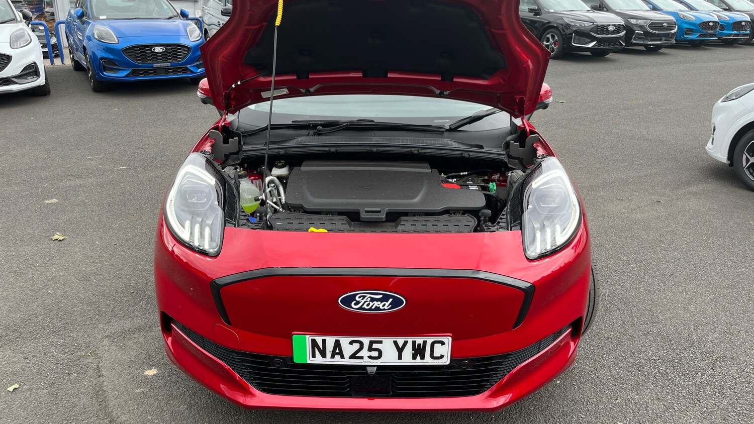 Used Ford Puma 2025 for sale - 77578654: Photo 8