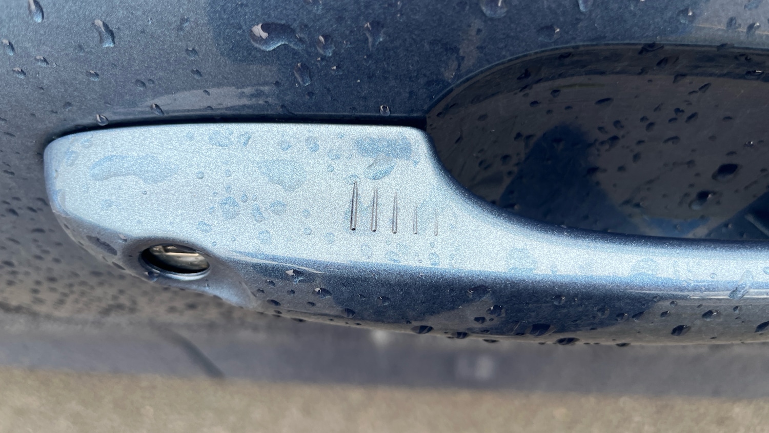 Used Ford Focus 2023 for sale - 77789052: Photo 31