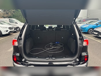 Used Ford Kuga 2023 for sale - 77044603: Photo