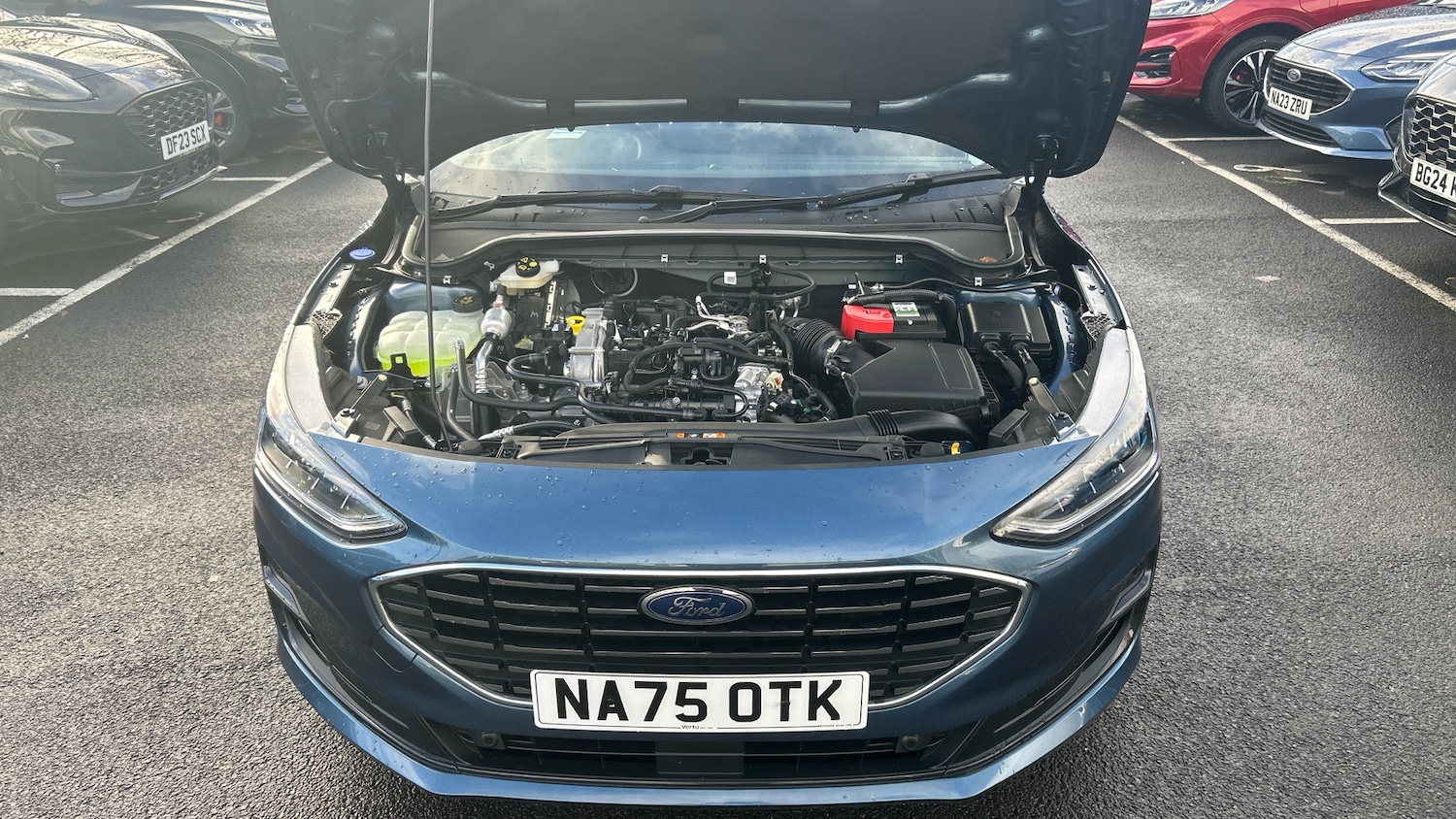 Used Ford Focus 2025 for sale - 76919691: Photo 8