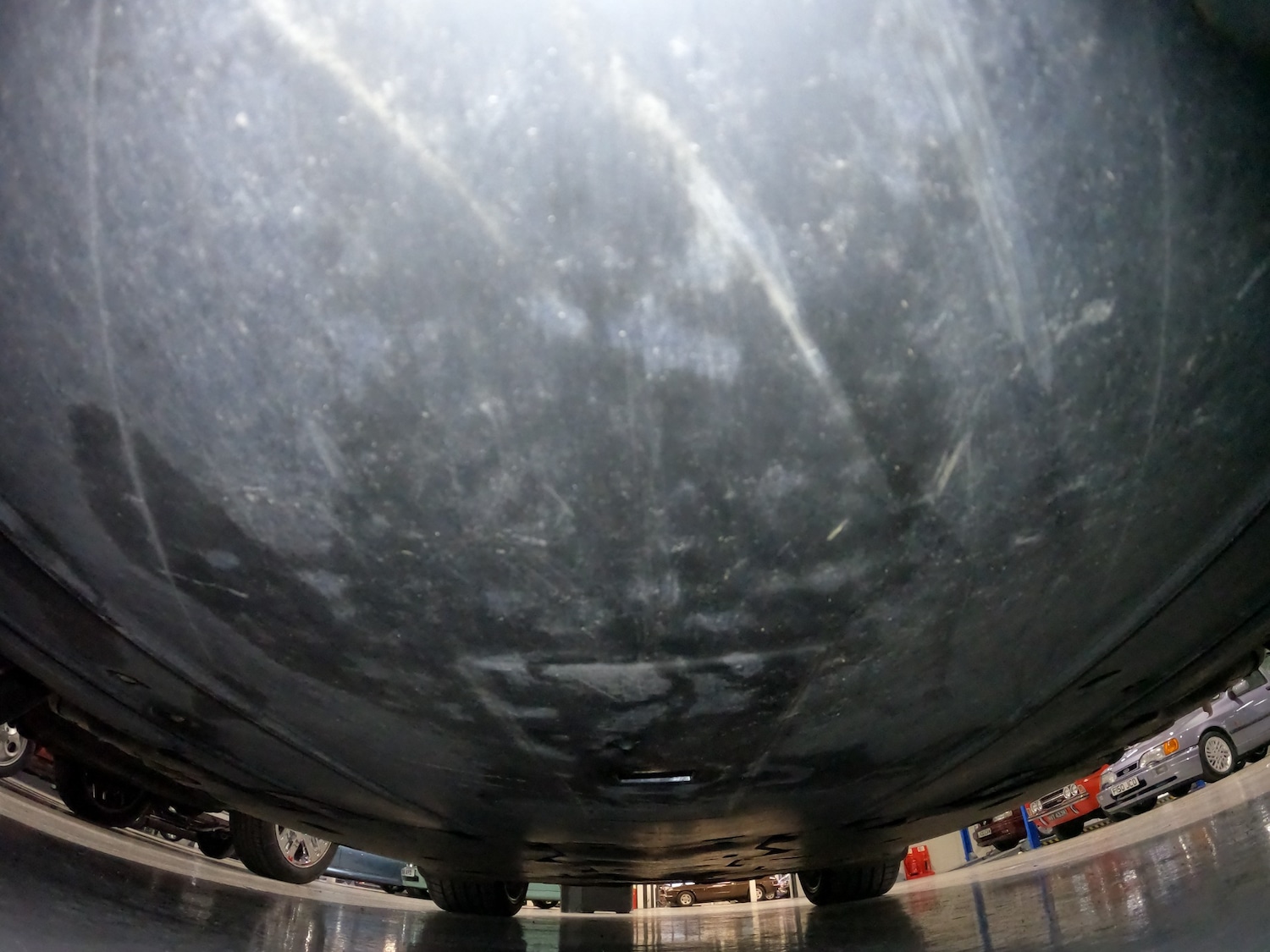 Used Porsche 911 2005 for sale - 77868806: Photo 36