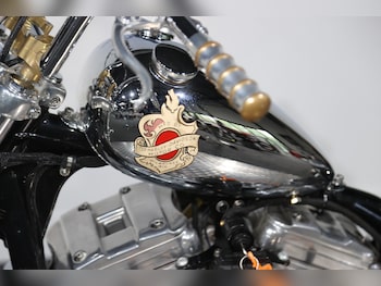 Used Harley-Davidson SPORTSTER 2021 for sale - bike-79476768: Photo