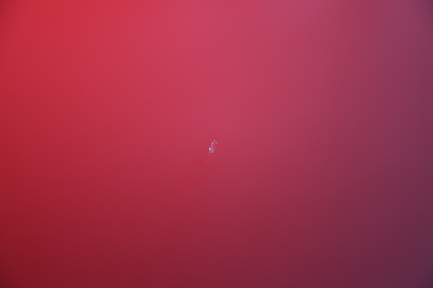 Used Porsche 911 2002 for sale - 76450491: Photo 34