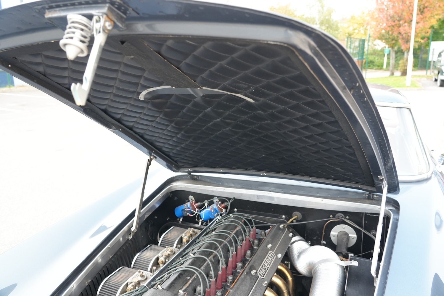 Used Maserati 3500 2019 for sale - 76331986: Photo 41