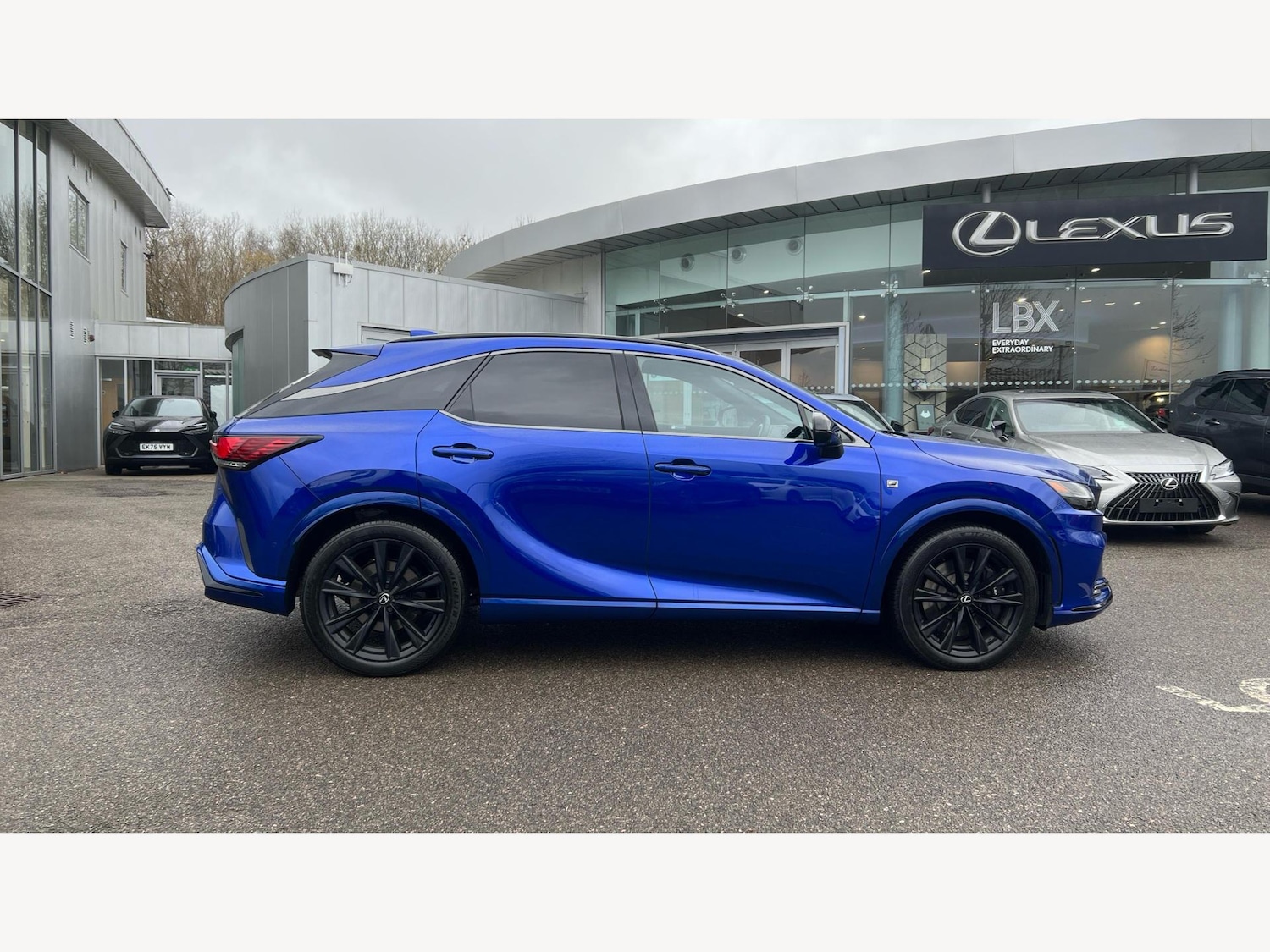 Used Lexus RX 2025 for sale - 77216027: Photo 18