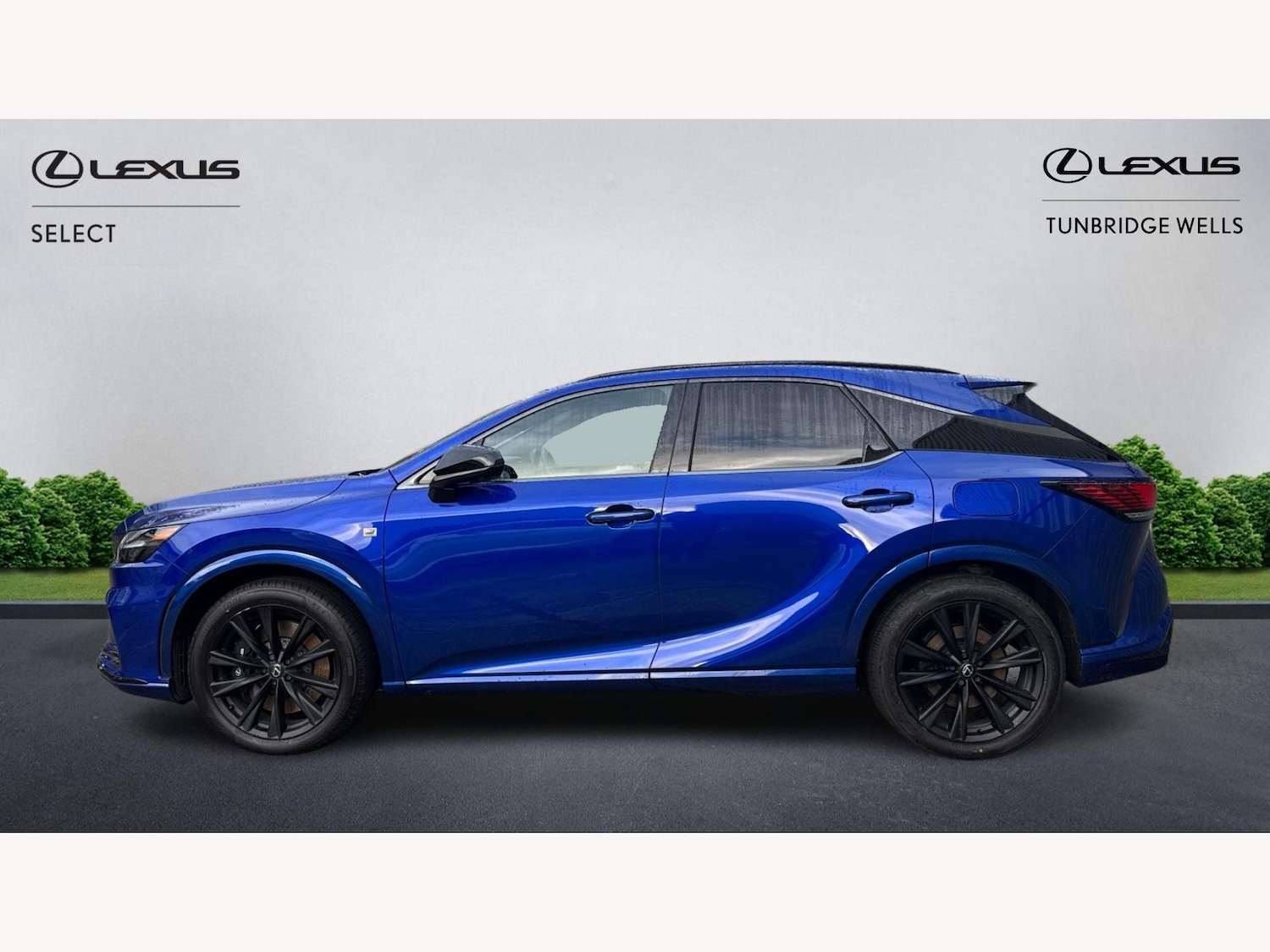 Used Lexus RX 2025 for sale - 77216027: Photo 3