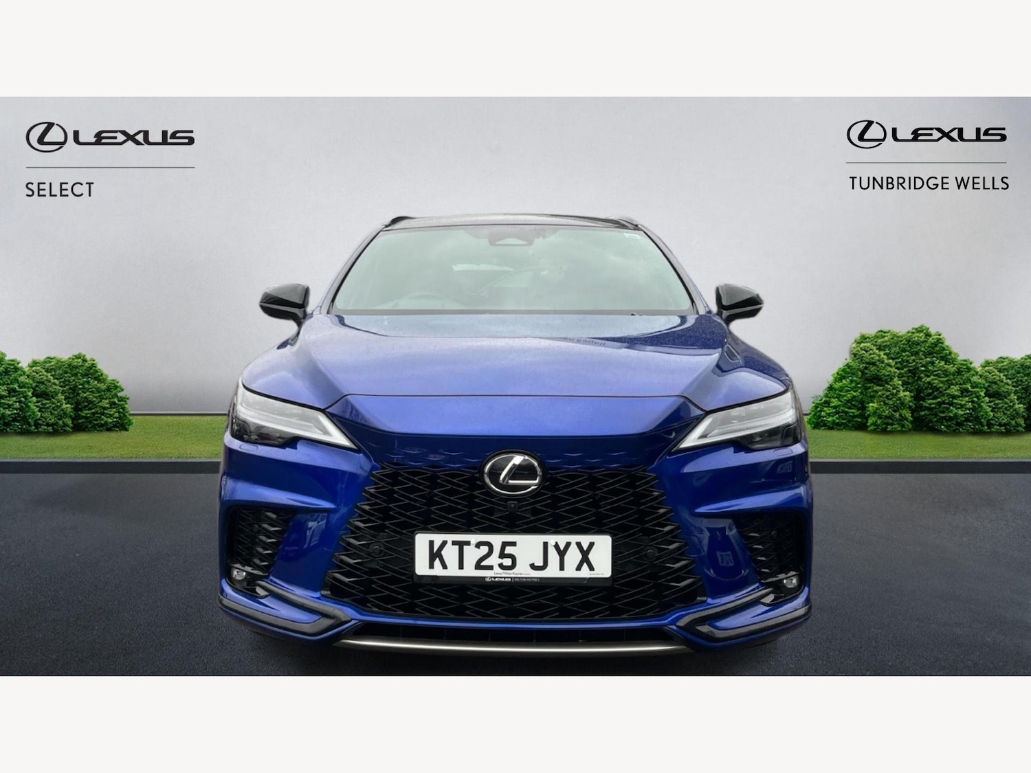 Used Lexus RX 2025 for sale - 77216027: Photo 6