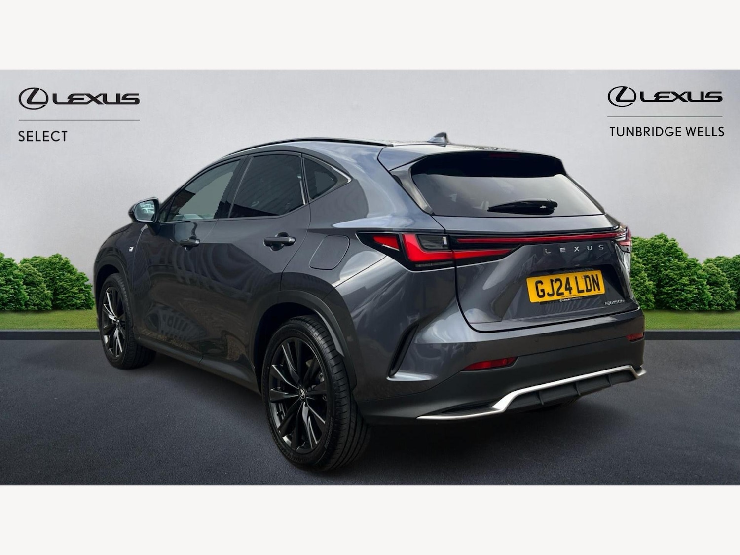 Used Lexus NX 2024 for sale - 77091669: Photo 2