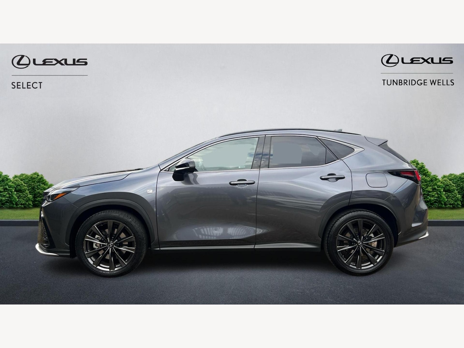 Used Lexus NX 2024 for sale - 77091669: Photo 3