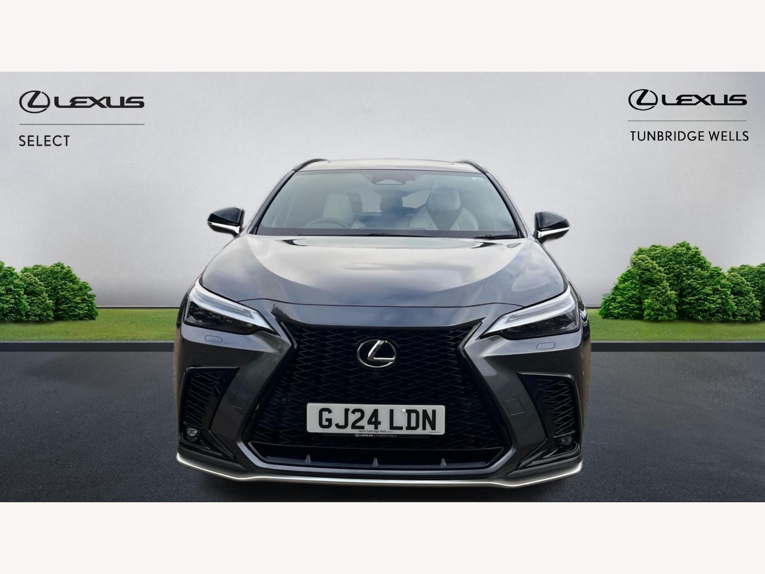 Used Lexus NX 2024 for sale - 77091669: Photo 6
