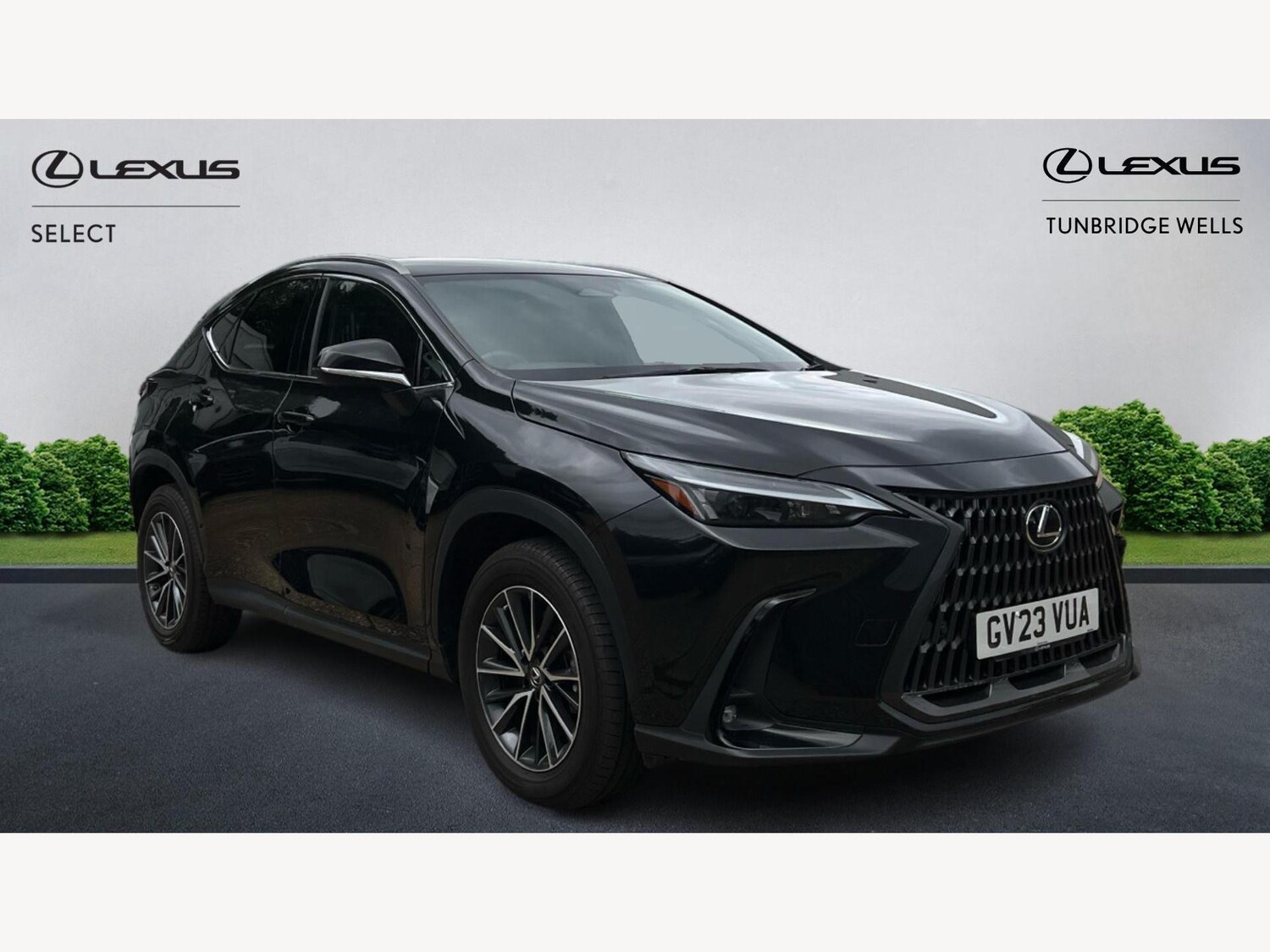Used Lexus NX 2023 for sale - 76175391: Photo 1