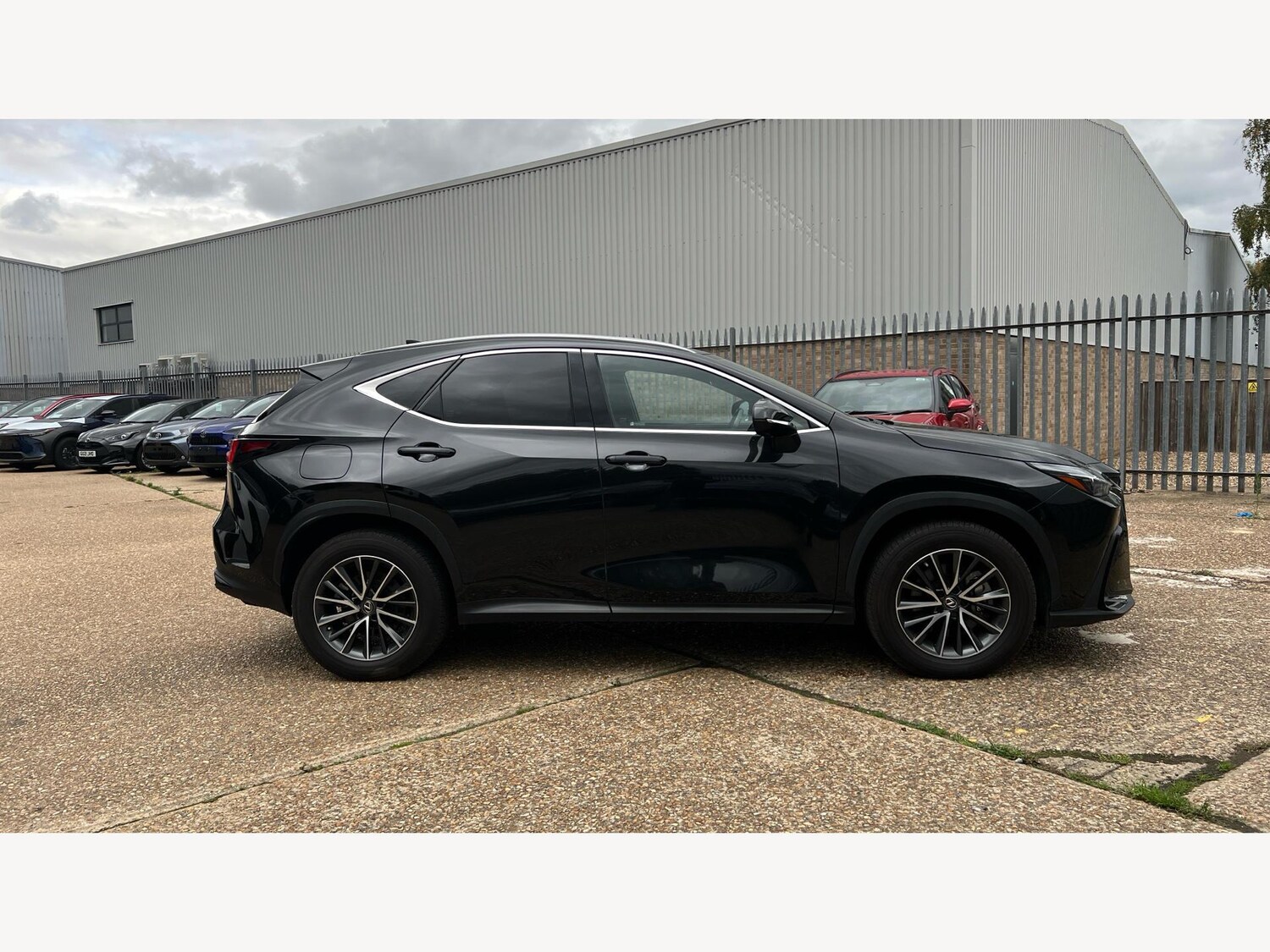 Used Lexus NX 2023 for sale - 76175391: Photo 18