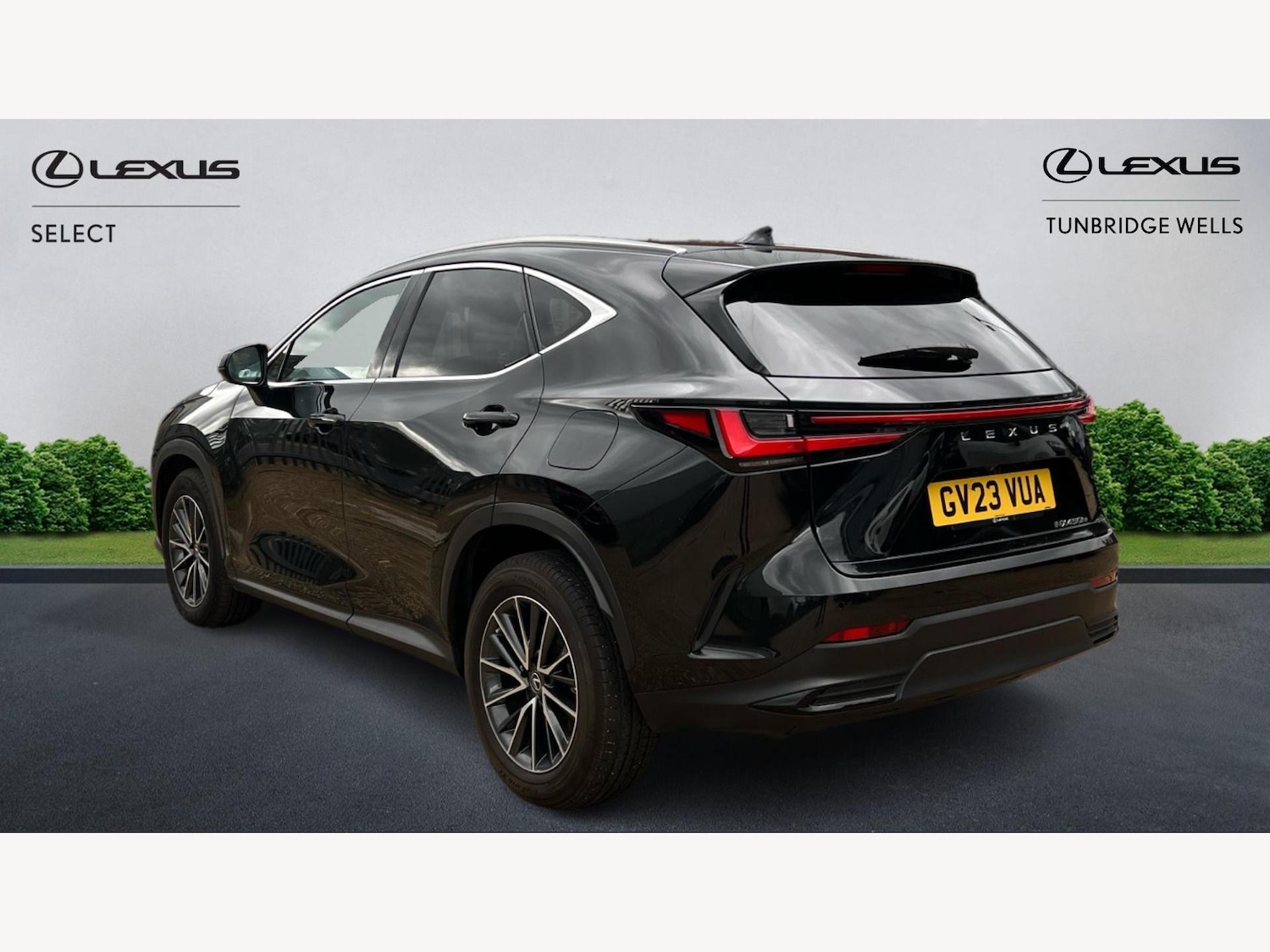 Used Lexus NX 2023 for sale - 76175391: Photo 2