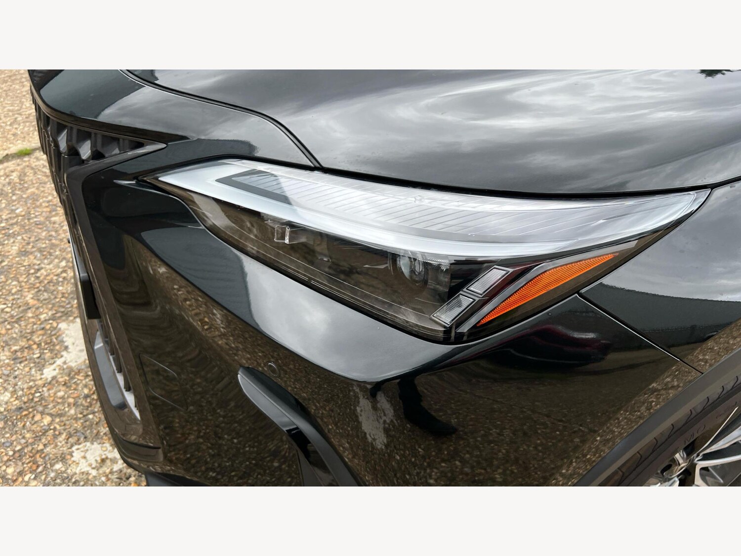 Used Lexus NX 2023 for sale - 76175391: Photo 22