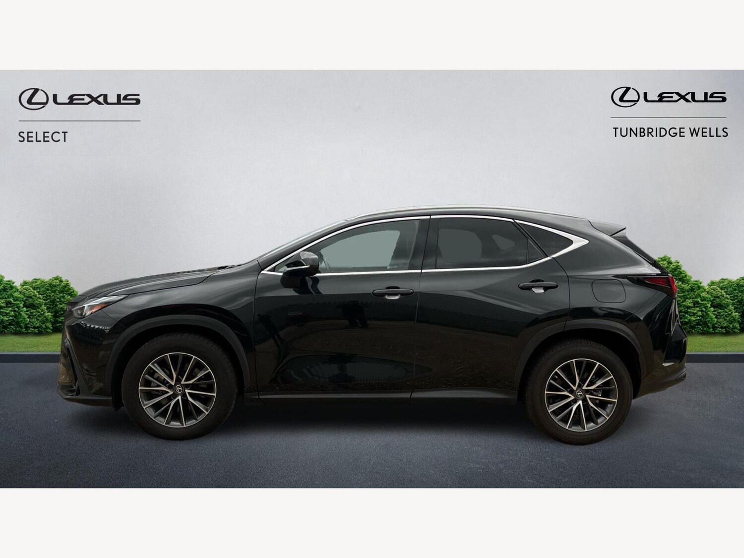 Used Lexus NX 2023 for sale - 76175391: Photo 3