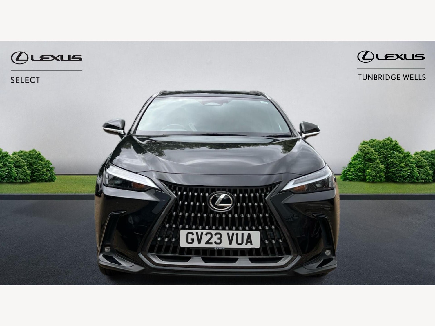 Used Lexus NX 2023 for sale - 76175391: Photo 6