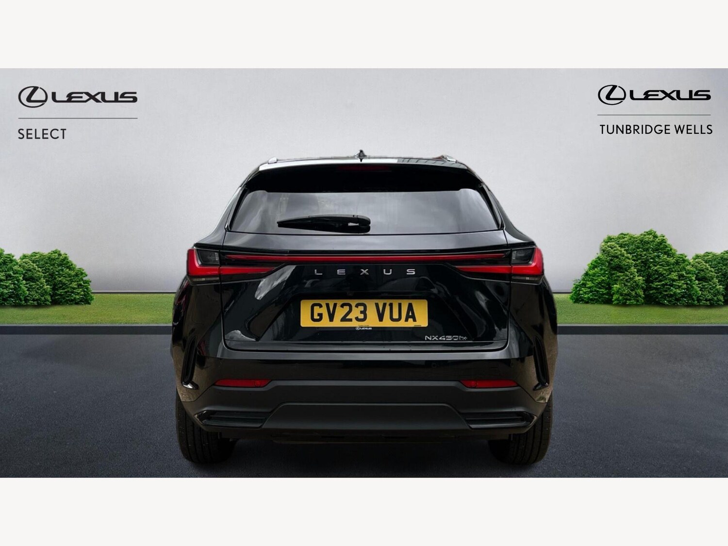 Used Lexus NX 2023 for sale - 76175391: Photo 7