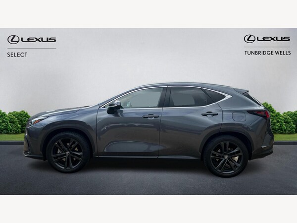 Used Lexus NX 2024 for sale - 76024439: Photo 3