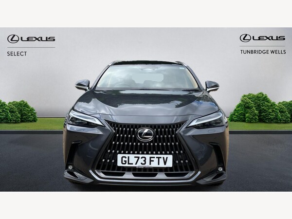 Used Lexus NX 2024 for sale - 76024439: Photo 6