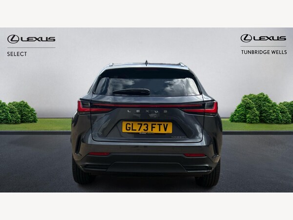 Used Lexus NX 2024 for sale - 76024439: Photo 7