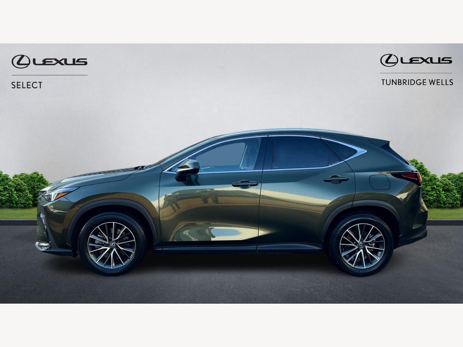 Used Lexus NX 2024 for sale - 77081303: Photo 3