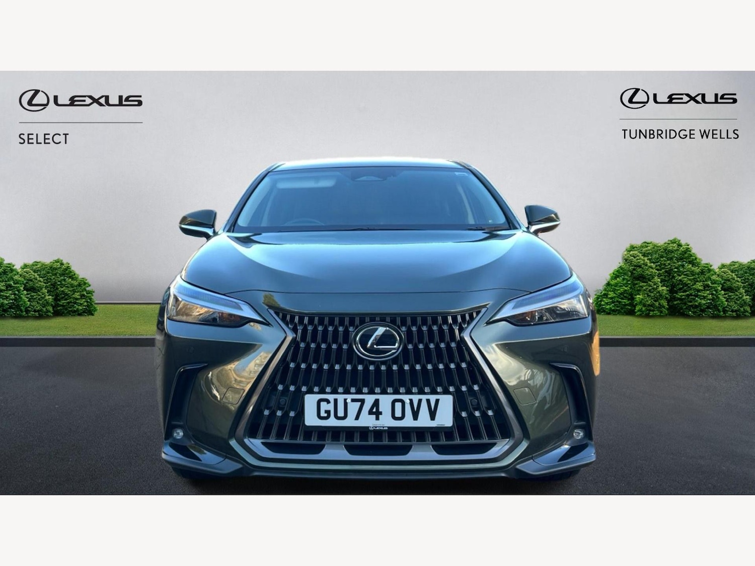 Used Lexus NX 2024 for sale - 77081303: Photo 6