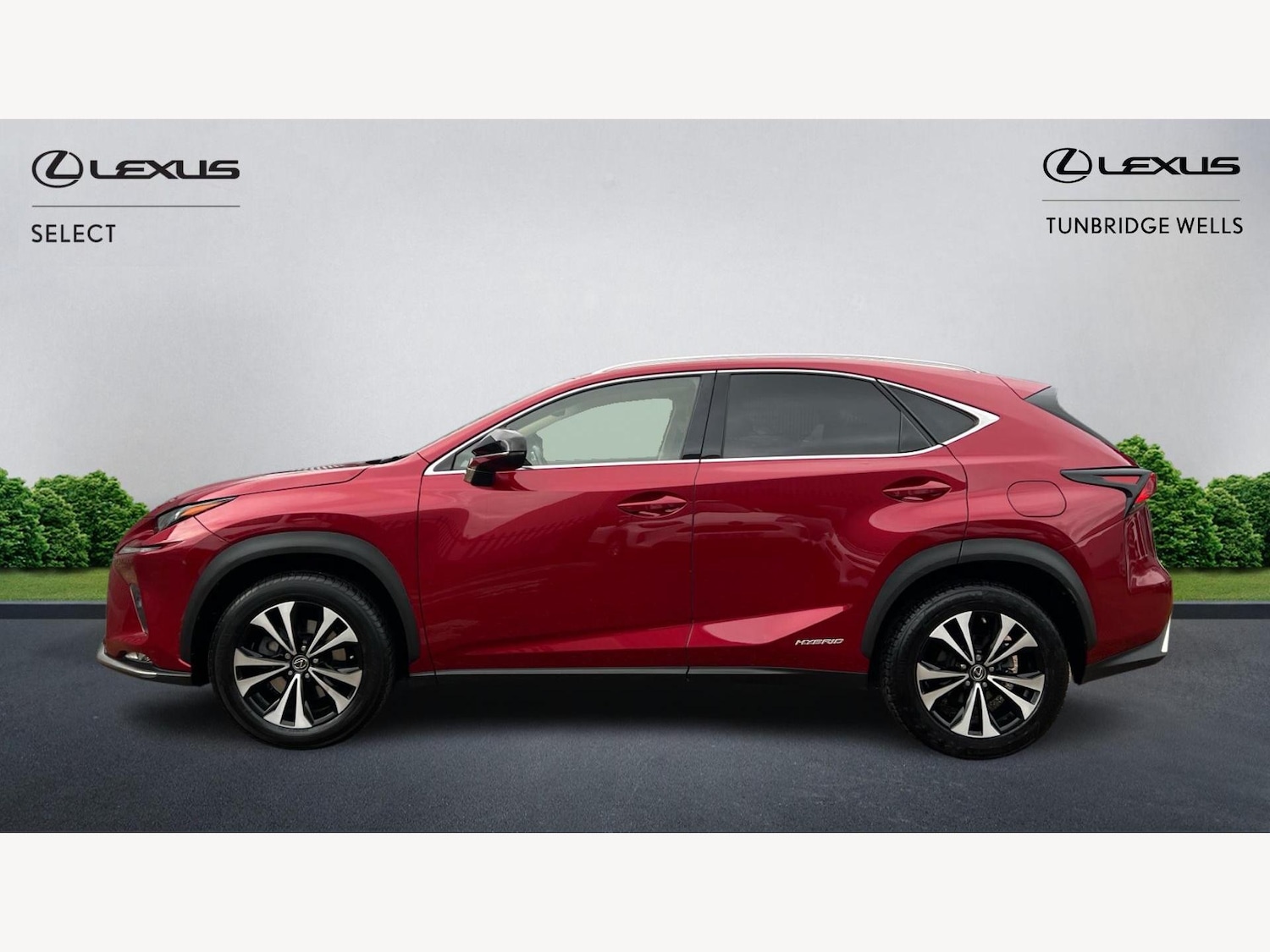 Used Lexus NX 2021 for sale - 77081476: Photo 3