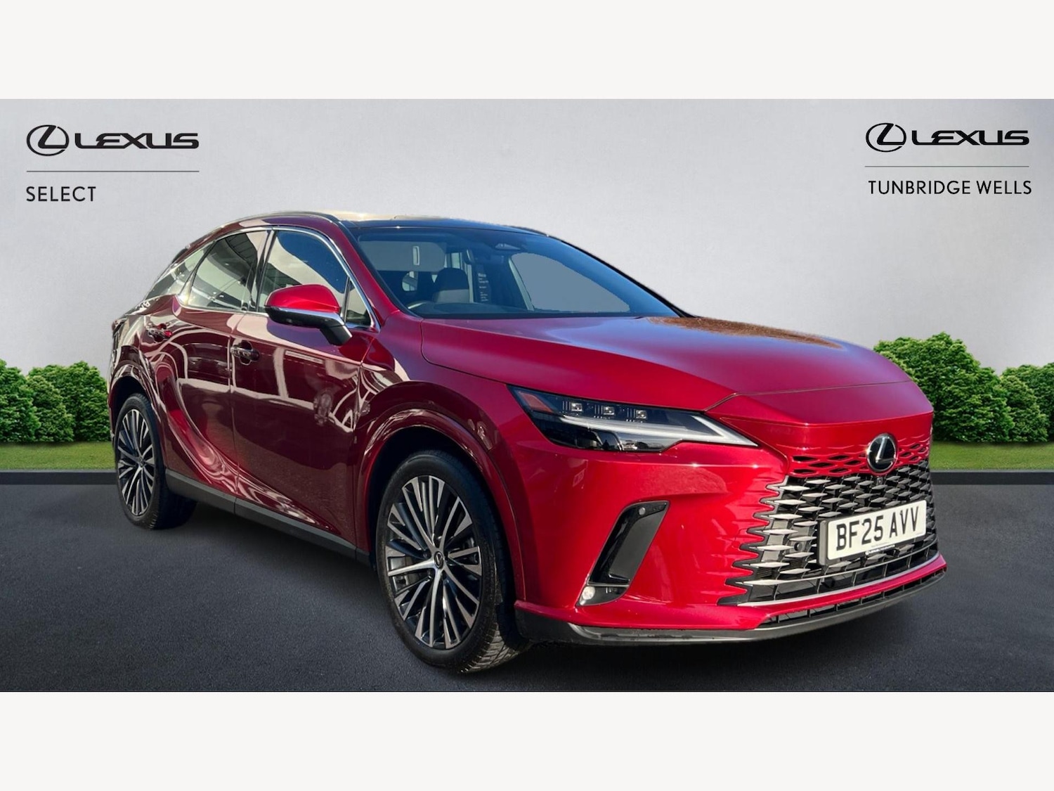 Used Lexus RX 2025 for sale - 77097348: Photo 1