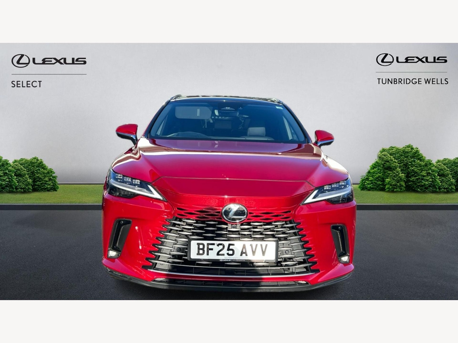 Used Lexus RX 2025 for sale - 77097348: Photo 6