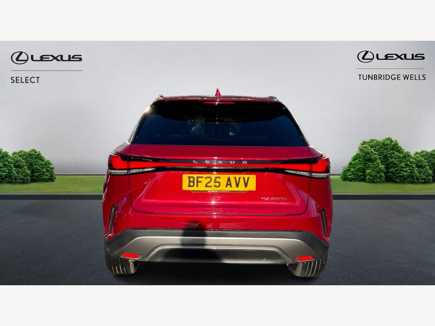 Used Lexus RX 2025 for sale - 77097348: Photo 7