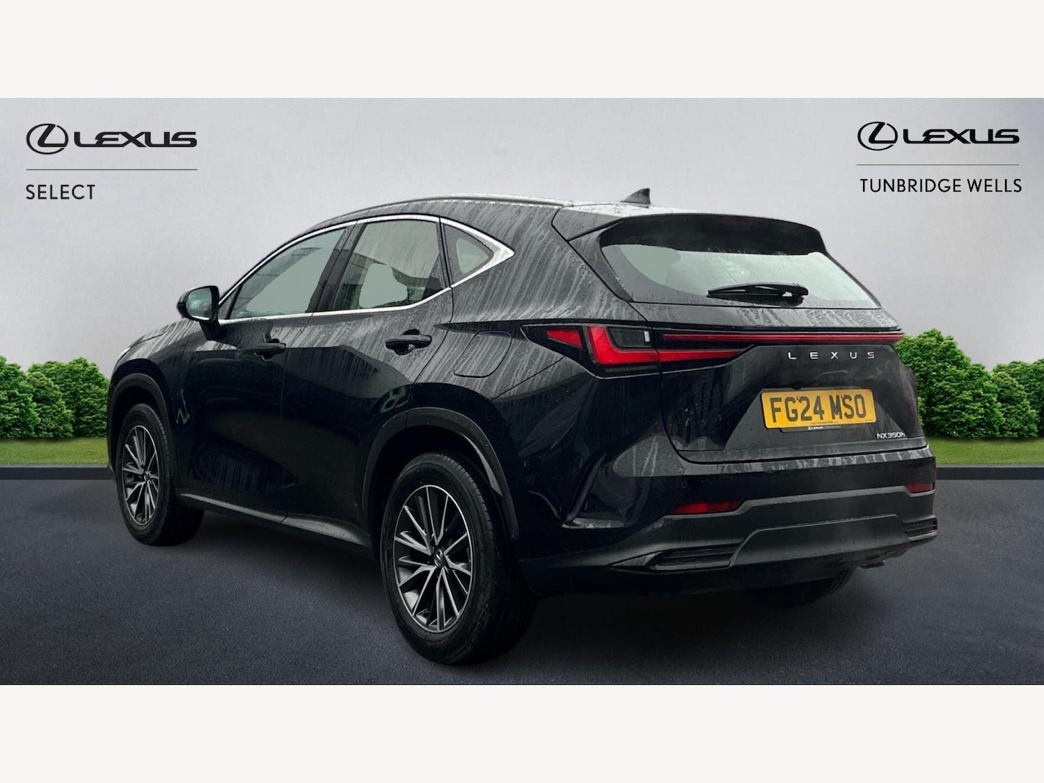 Used Lexus NX 2024 for sale - 77633338: Photo 2