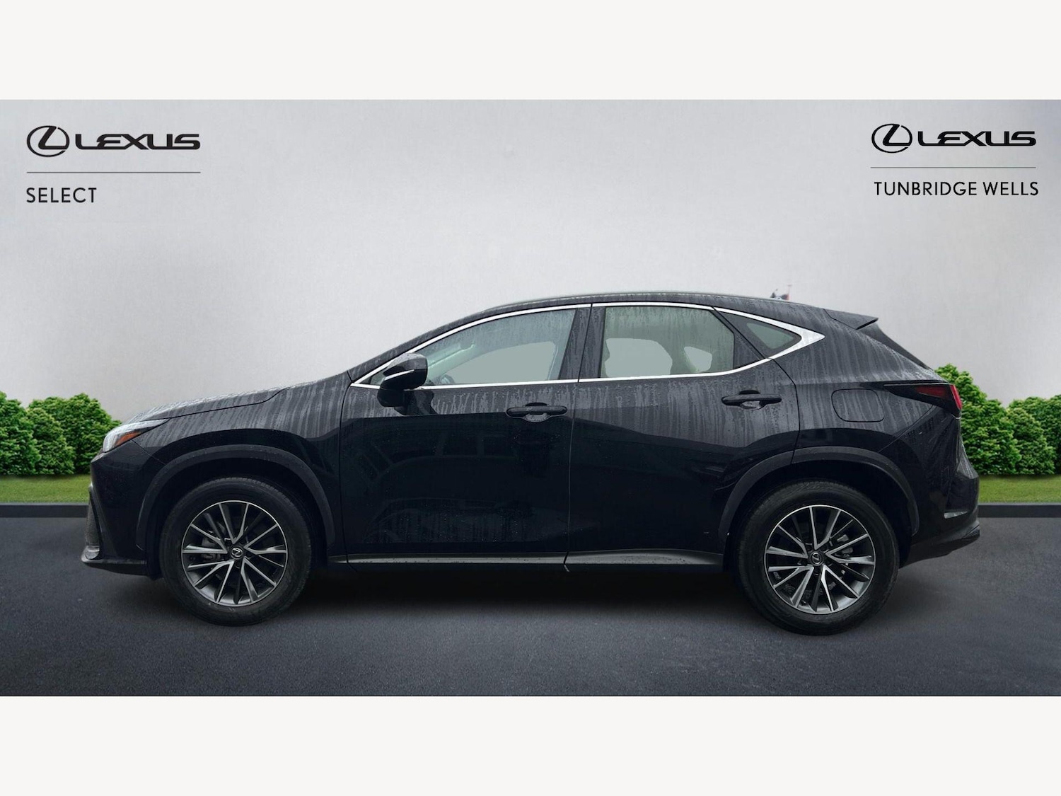 Used Lexus NX 2024 for sale - 77633338: Photo 3