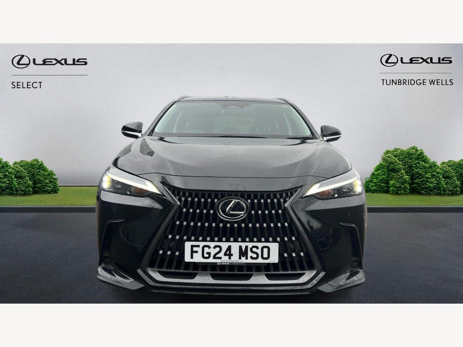 Used Lexus NX 2024 for sale - 77633338: Photo 6
