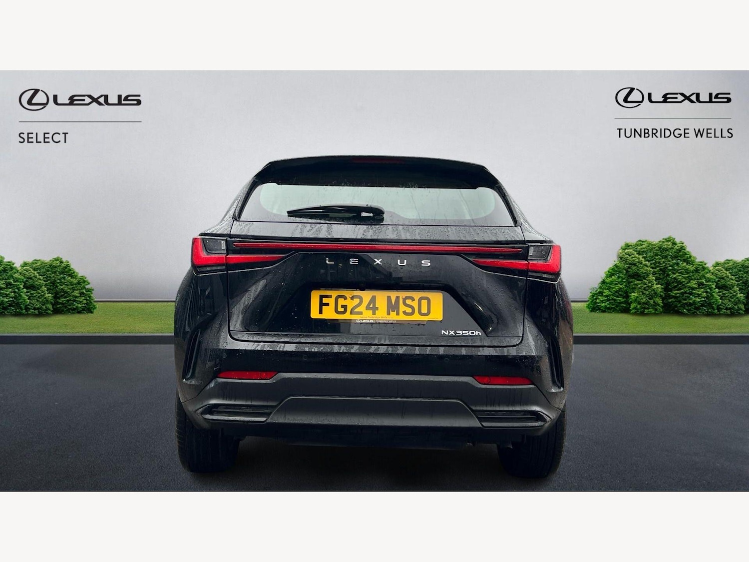 Used Lexus NX 2024 for sale - 77633338: Photo 7