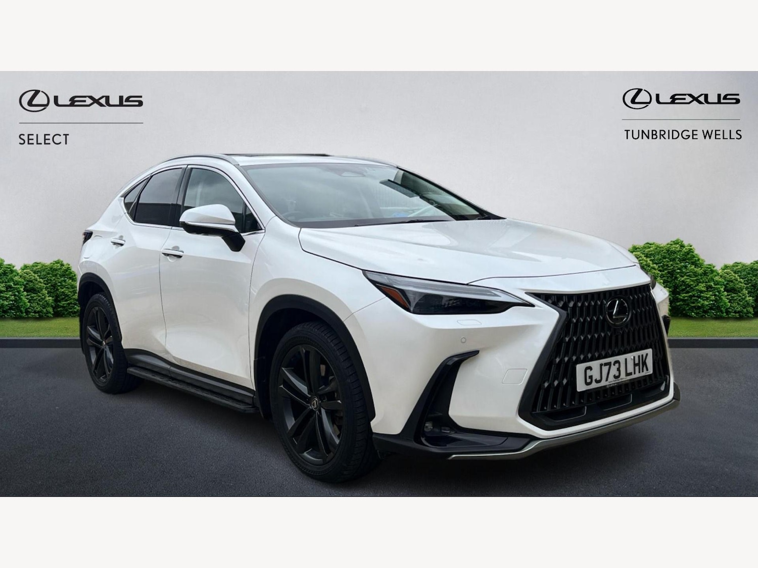 Used Lexus NX 2023 for sale - 76174612: Photo 1