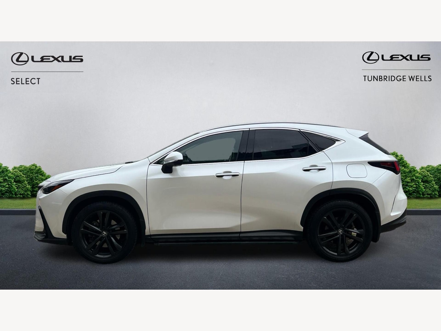 Used Lexus NX 2023 for sale - 76174612: Photo 3