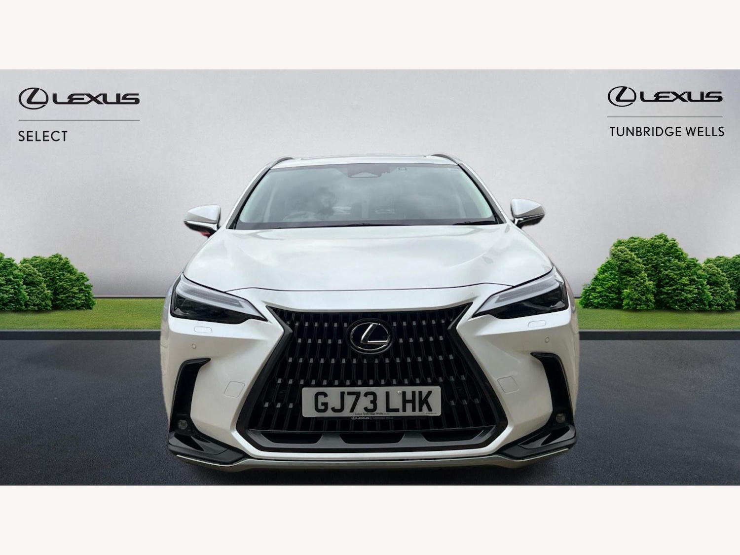Used Lexus NX 2023 for sale - 76174612: Photo 6