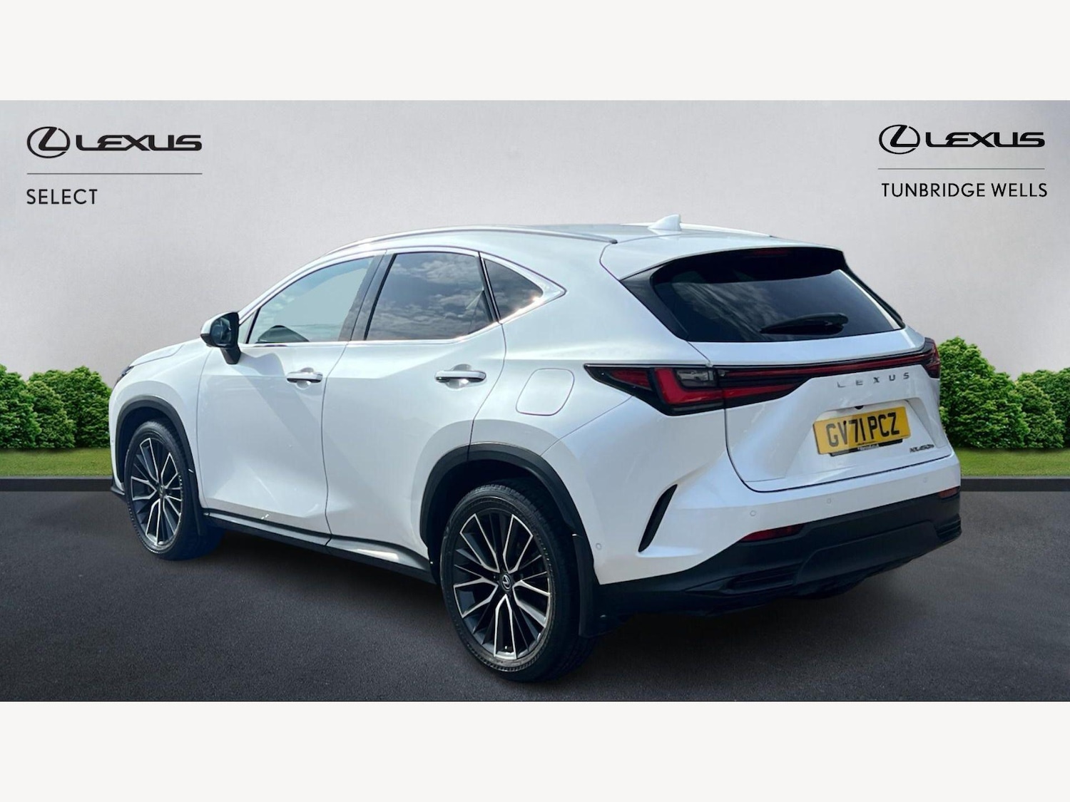 Used Lexus NX 2022 for sale - 77982351: Photo 2