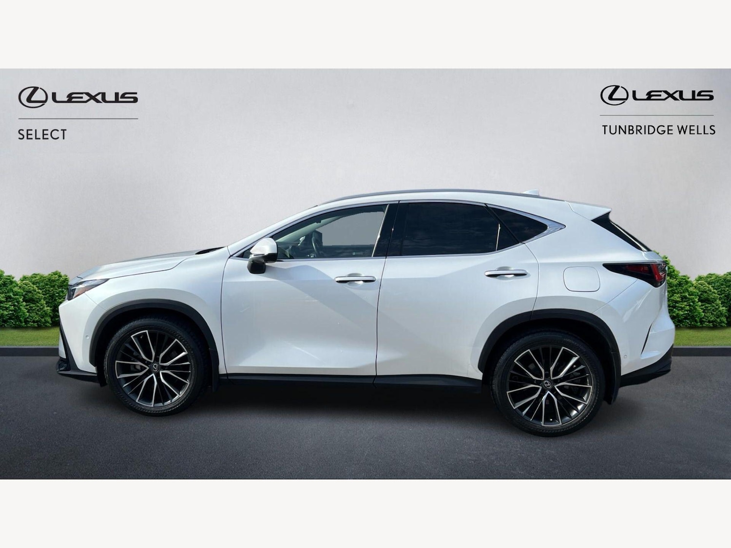 Used Lexus NX 2022 for sale - 77982351: Photo 3