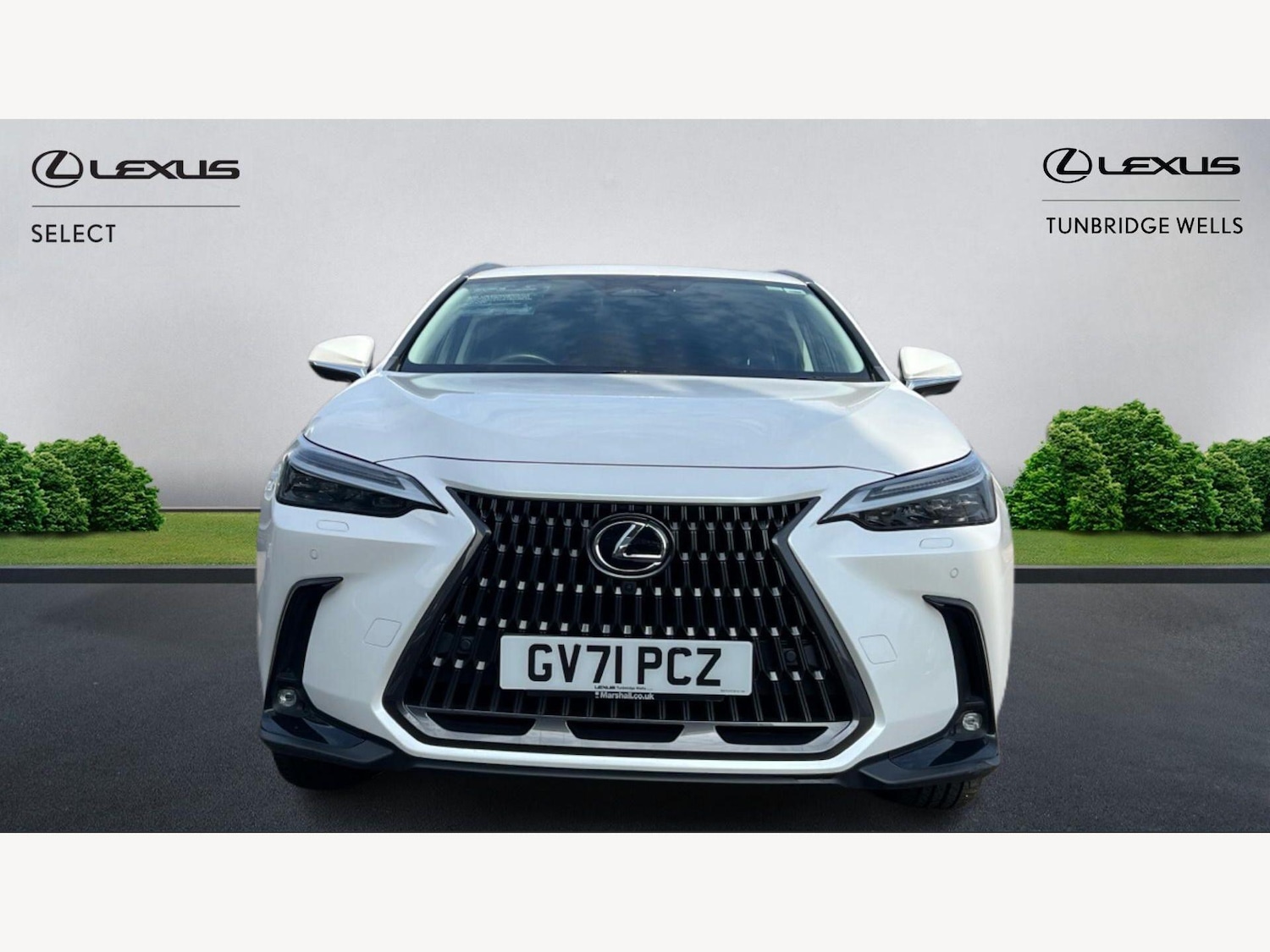 Used Lexus NX 2022 for sale - 77982351: Photo 6