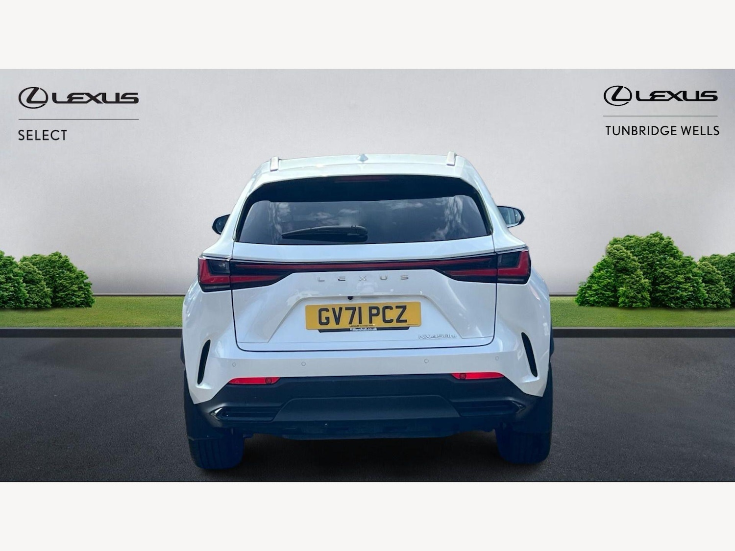 Used Lexus NX 2022 for sale - 77982351: Photo 7