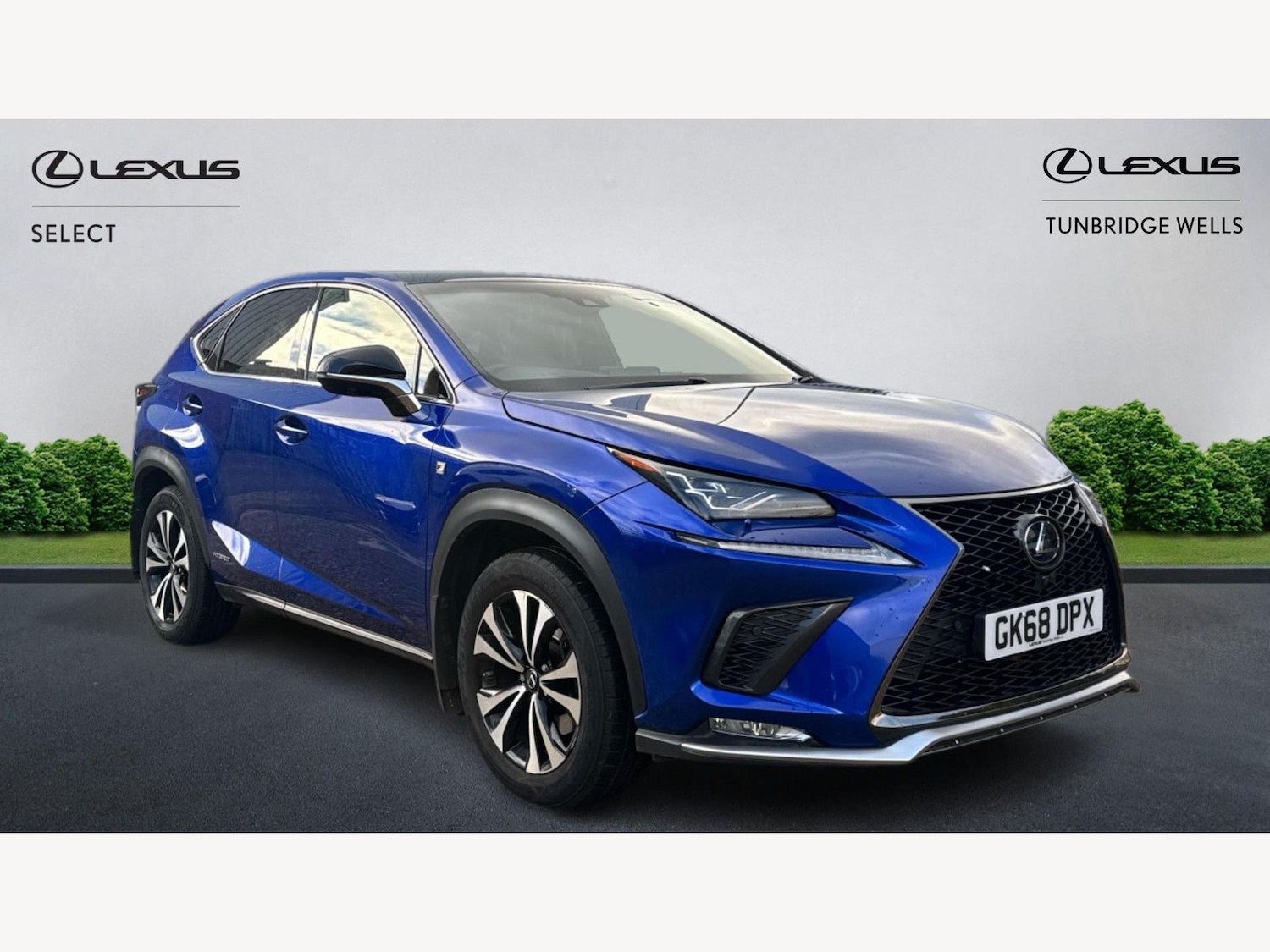 Used Lexus NX 2018 for sale - 76771630: Photo 1