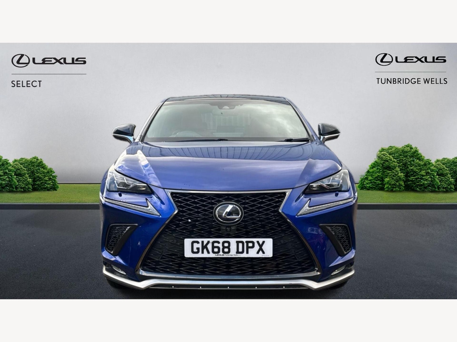 Used Lexus NX 2018 for sale - 76771630: Photo 6