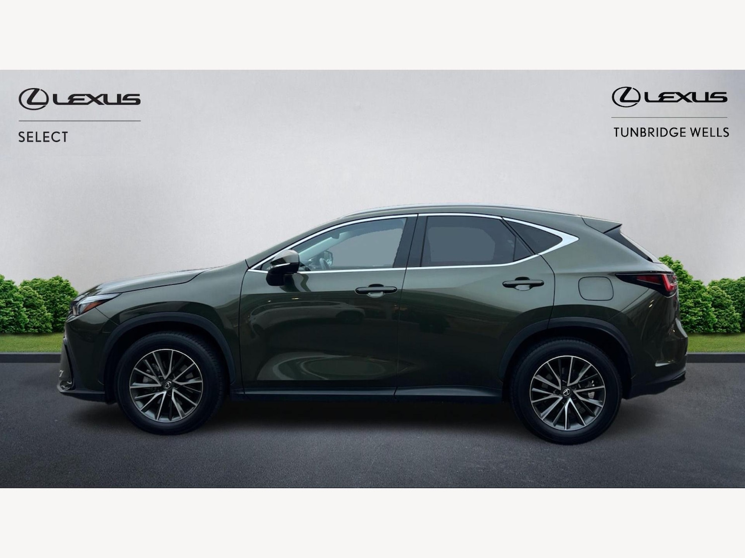 Used Lexus NX 2023 for sale - 76370648: Photo 3