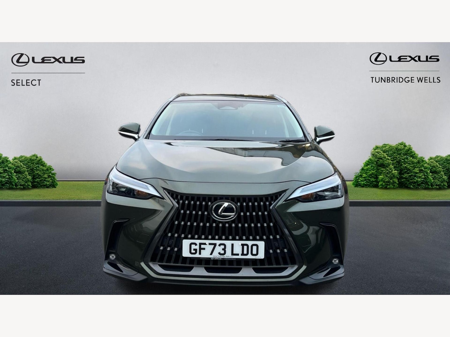 Used Lexus NX 2023 for sale - 76370648: Photo 6