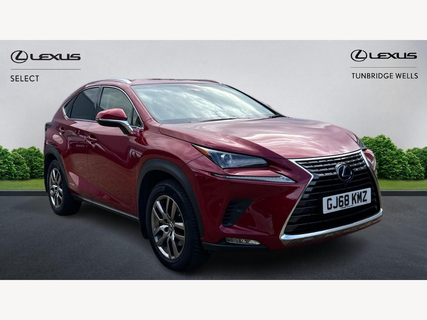 Used Lexus NX 2018 for sale - 76201335: Photo 1